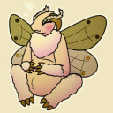 nomminmothdragon avatar