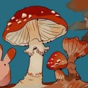 nomore-insomnia avatar