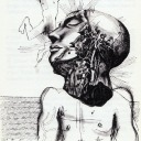 nomoreapologies avatar