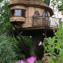 nomoregrid-blog avatar