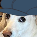 nomoreheterotv avatar