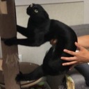 nomoretimeleftt avatar