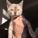 nomoreusernames-left avatar