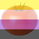 non-binary-tomato avatar