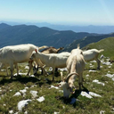 non-ci-sono-stato avatar