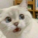 non-lasciarmi-da-solo avatar