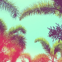 nonactiveblog avatar