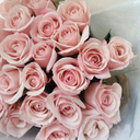 nonameesworld-blog avatar