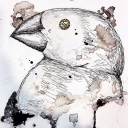 nonavian-dinosaur avatar