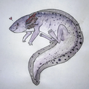 nonbinary-axolotl avatar