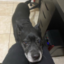 nonbinary-banana avatar