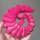 nonbinary-octopus avatar