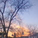 nonbinaryhaunt avatar