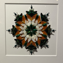 nonbinarymold avatar