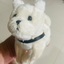 noncolorwinds avatar