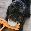 none-pizza-wth-left-beef avatar