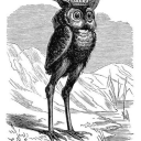 nonebinary-leftbeef avatar