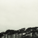 nonergosum-blog avatar