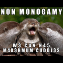 nonmonogamemes avatar
