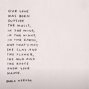 nonricordocomesivola avatar