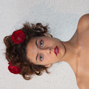 nonsense-on-theroad avatar