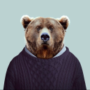 nonsenseandgrizzlybears avatar