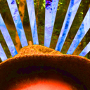 nonsensemachine avatar