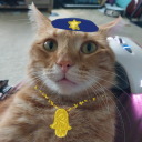 nonsensical-raw-material avatar