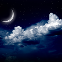 nonsequiturisms avatar