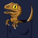 noodle-neck-velociraptors avatar