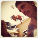 noodle-zierra-blog avatar