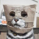 noodleme avatar