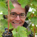 noodlepastasalad avatar