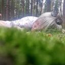 noodlesthetics avatar