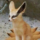 noodlewithsauce avatar