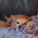 nooneandeveryonematters avatar