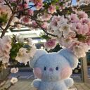 noonecareslol avatar