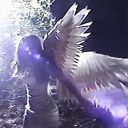 nooneeverwantstotakeherhome avatar