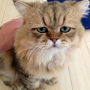 noonehastoknoooow-blog avatar