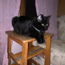 noonesposting avatar