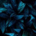 noonewillknow76 avatar