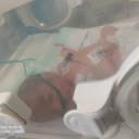 noorfamilyhelp65 avatar