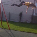 nope-nopedy-nope-nope-no avatar