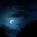 nope-nopity-nope-nope avatar