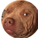 nopos-tacabron avatar