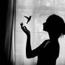 noprescripti0n avatar