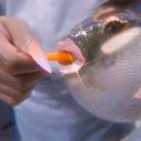 norafernanda6 avatar