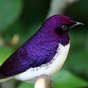 noranora24a-blog avatar