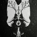 nordic-frozen avatar