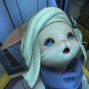 nordvindensrost avatar